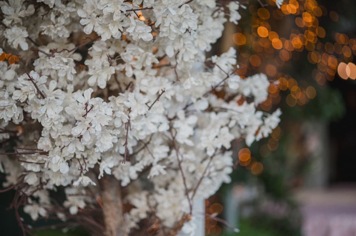 Halandri Club  portfolio